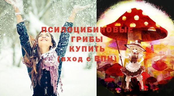 прущая мука Армянск
