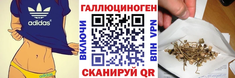 Псилоцибиновые грибы мухоморы Константиновск